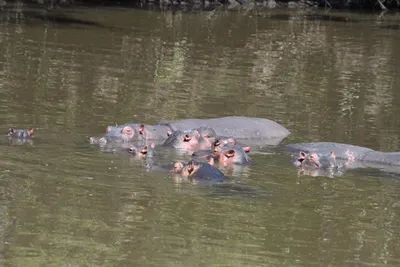 DSC_3507 (Large).JPG